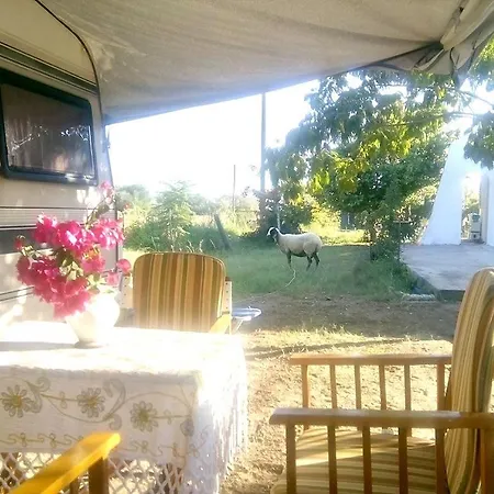 Naturfarm Rhodos Farm stay